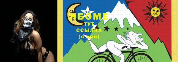 амф Бородино