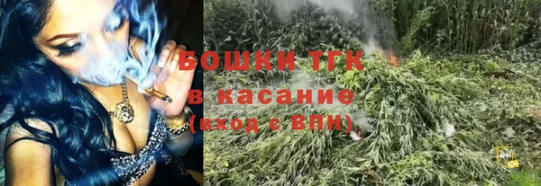 амф Бородино
