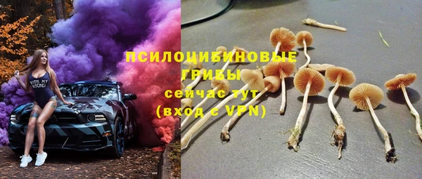 spice Богородск