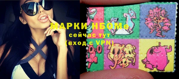spice Богородск