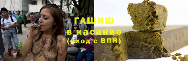 spice Богородск