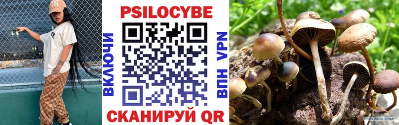 Галлюциногенные грибы Psilocybine cubensis  Мензелинск 